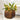Capard Indoor/Outdoor Vase - Brown