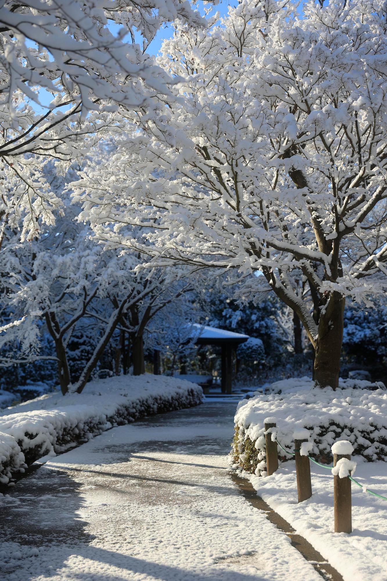 広報かわぐち2月号 最優秀賞
